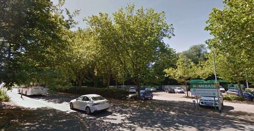 The trees in summertime along Cow Lane