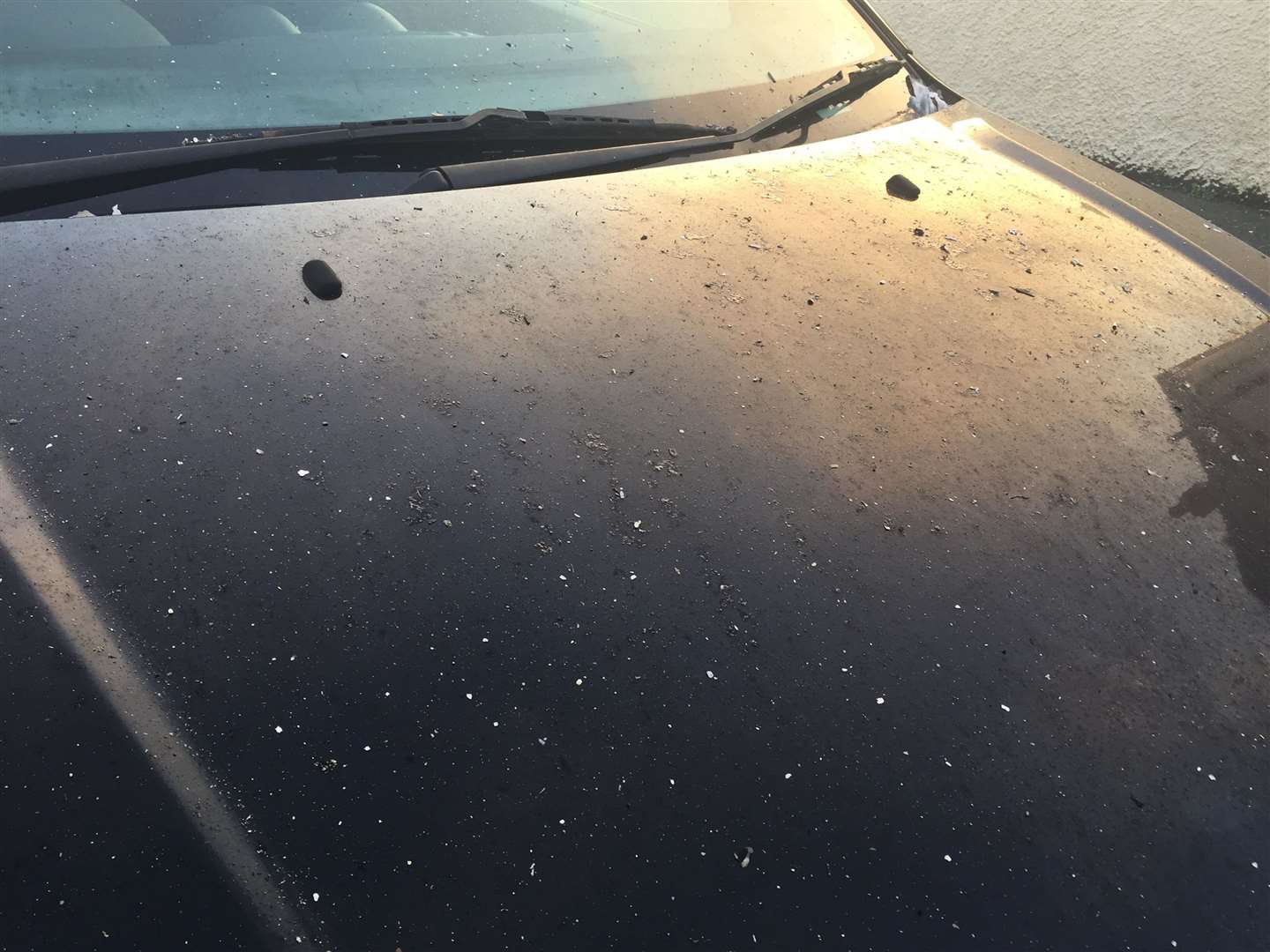 A car near to the incident has been covered with ash, as it rains down on the town