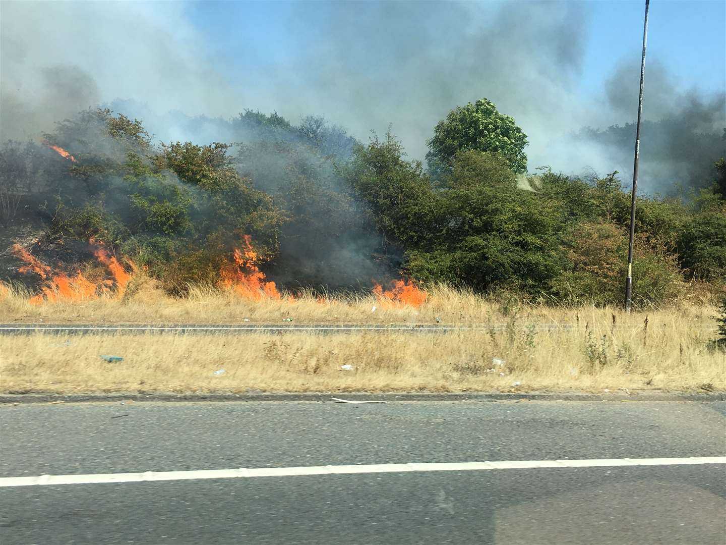 A bush fire by the A2 near Dartford. Images: Sue Pelling