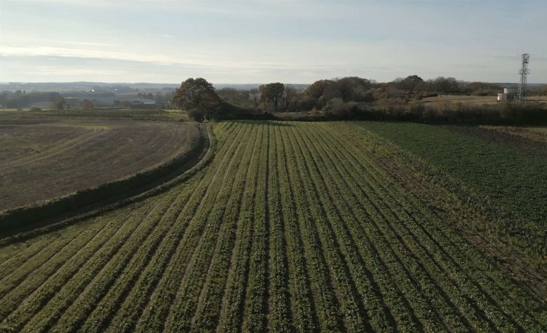 There are worries that too much farmland in Kent will be lost to housing