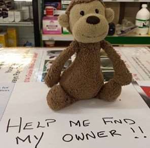 Can you help this monkey find its owner?