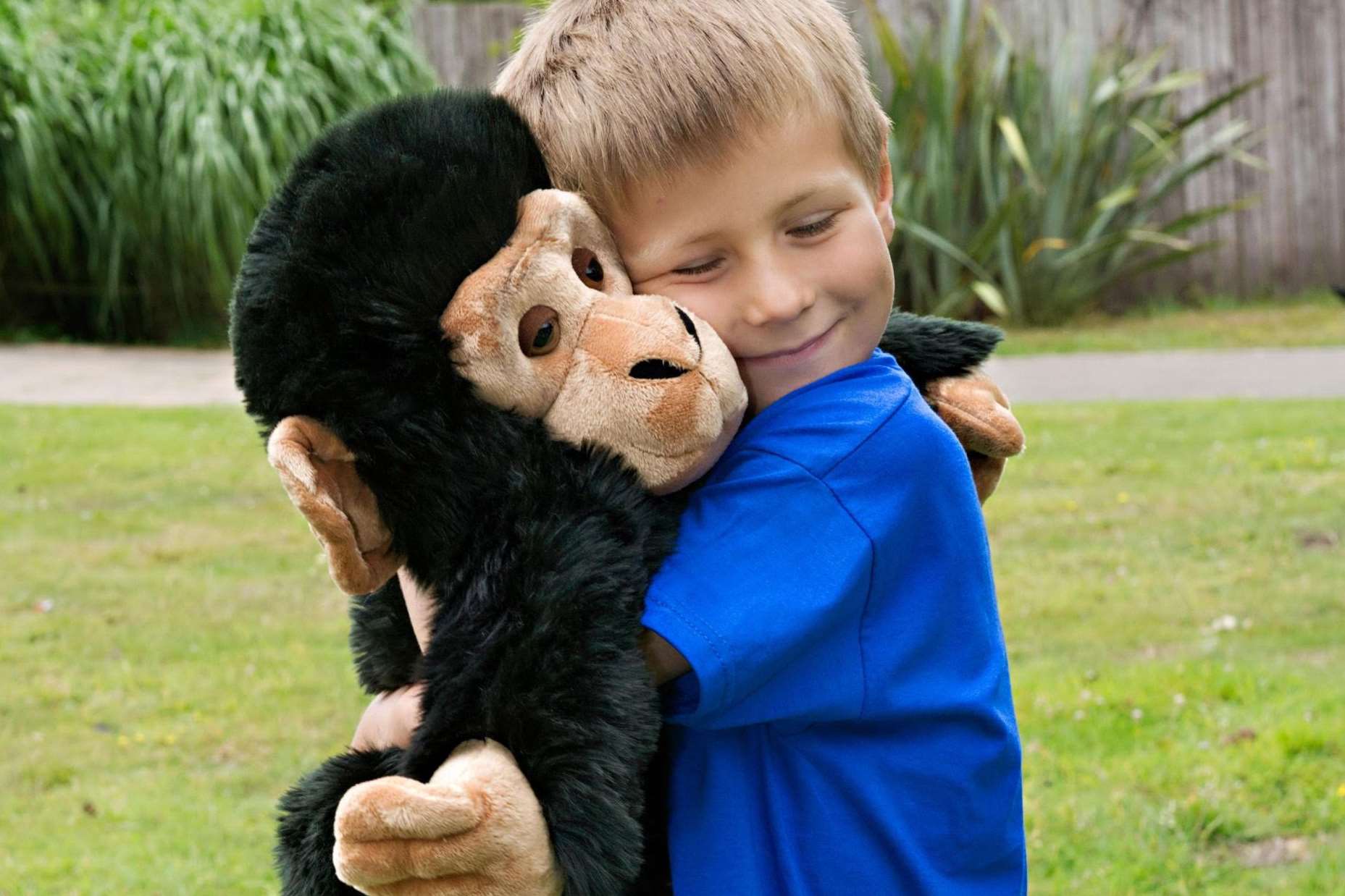 Monkey fan Harry Walton, 6, from Ashford