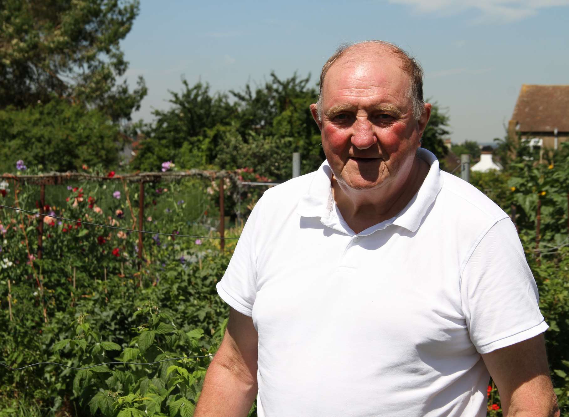 Reg Geeves on his allotment