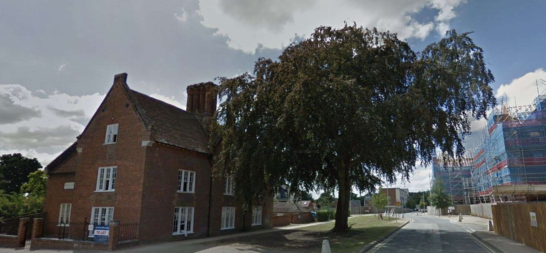 How the tree looks in the summer. Picture: Google Street View, 2018