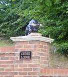 The bulls were on pillars at an address in Spekes Road, Hempstead.