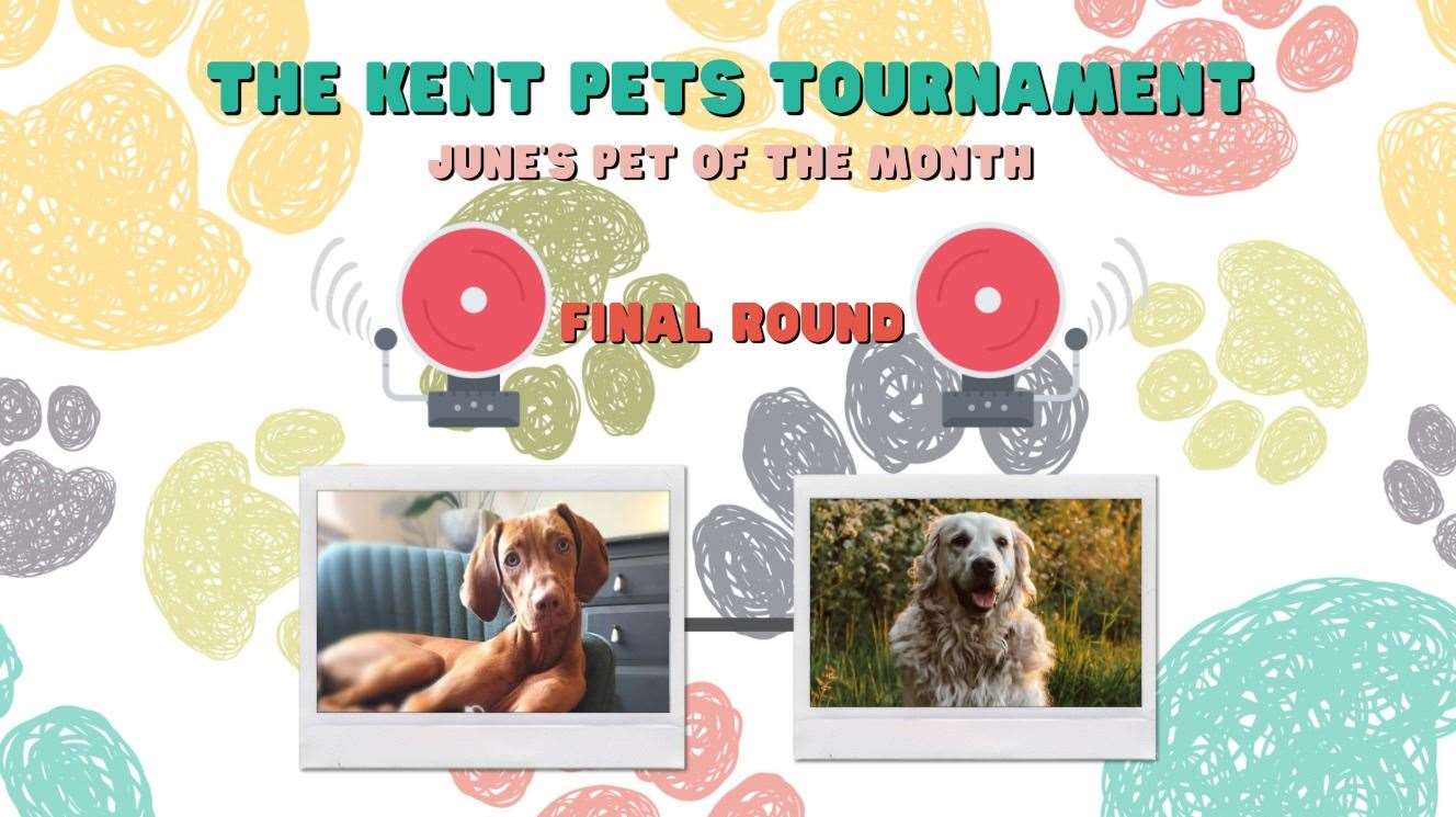Beanz vs Ollie in the Kent Pets Tournament
