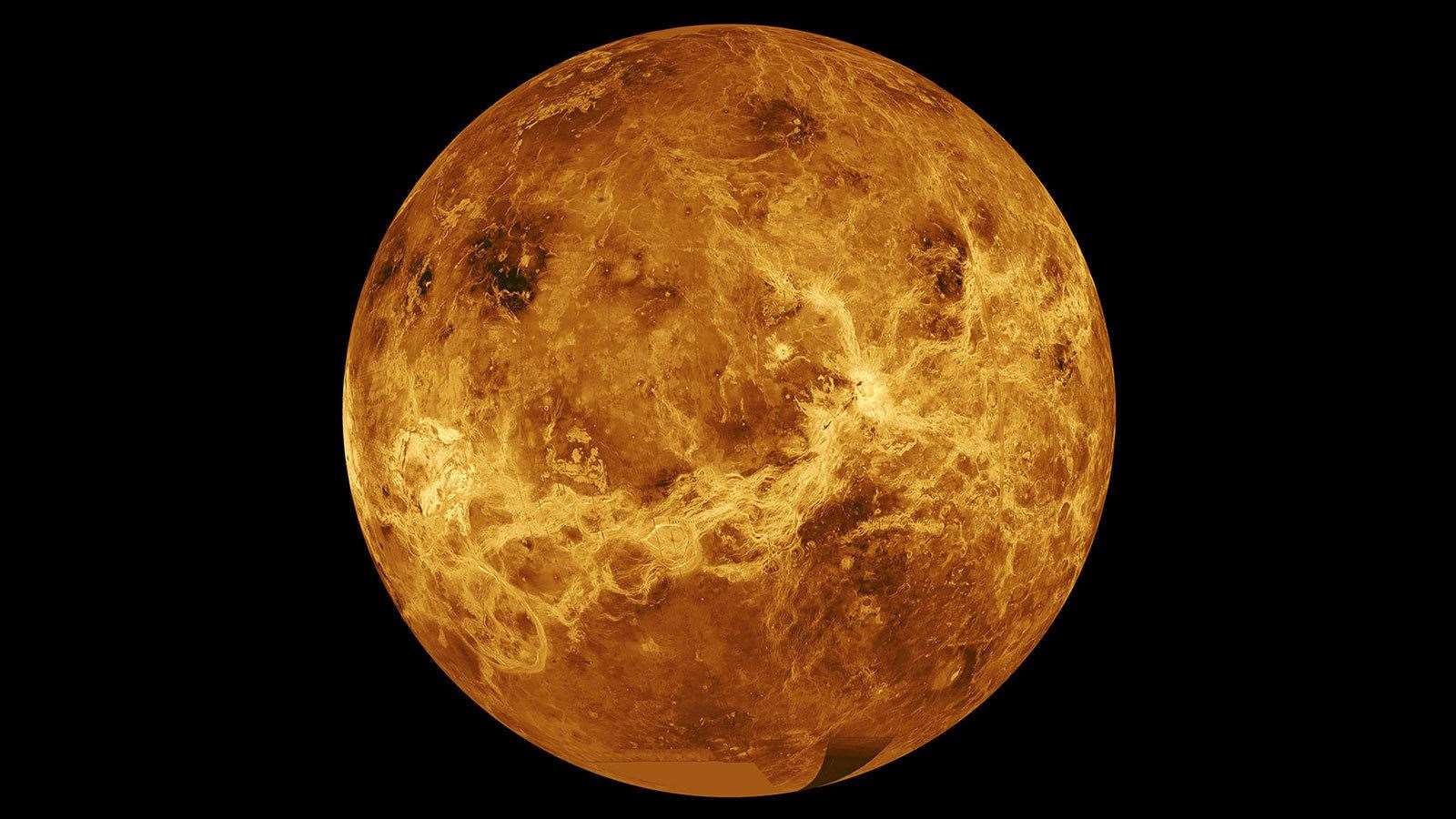 Venus is the most reflective planet in the solar system Picture: NASA Jet Propultion Laboratory