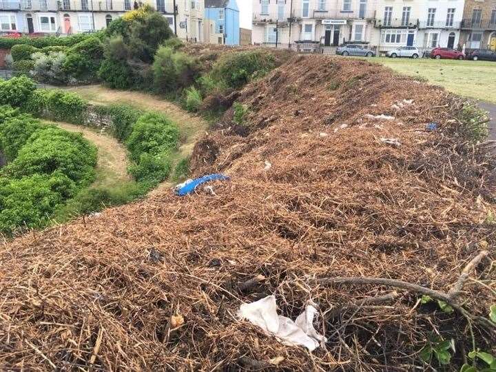 Thanet council was investigated by police following complaints about hedgewor cutting at Margate WInter Gardens (12334627)
