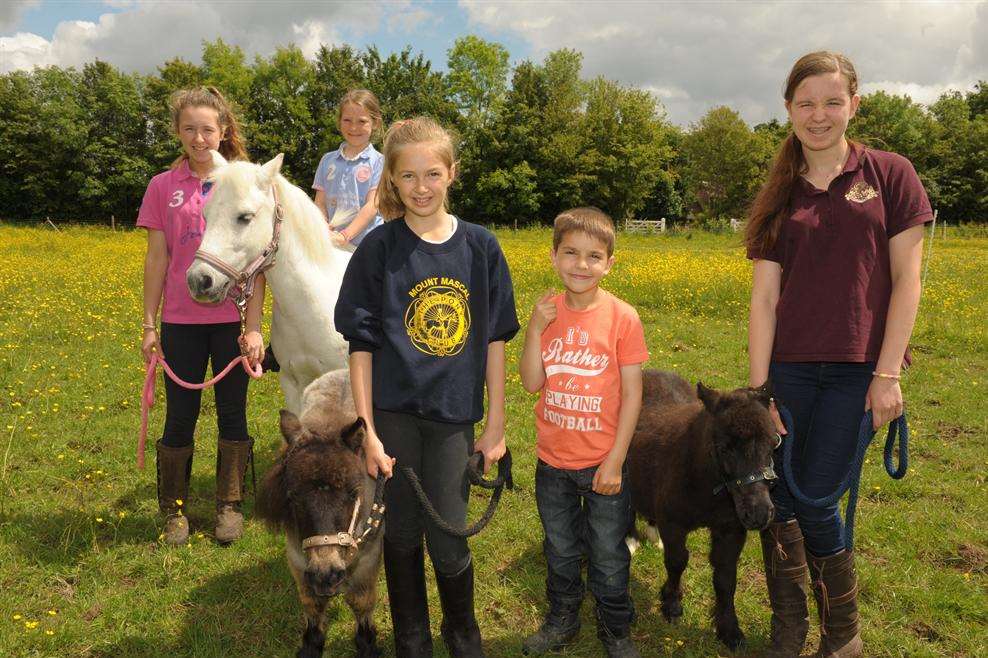 Sydney Kell, 14, Bella Rabjohns, 8, Tere the horse, Sophia Kell, 14, Liam McAllen, 7, and Lucy Graves, 12, with mini Shetland ponies, Bobby and Quinn.