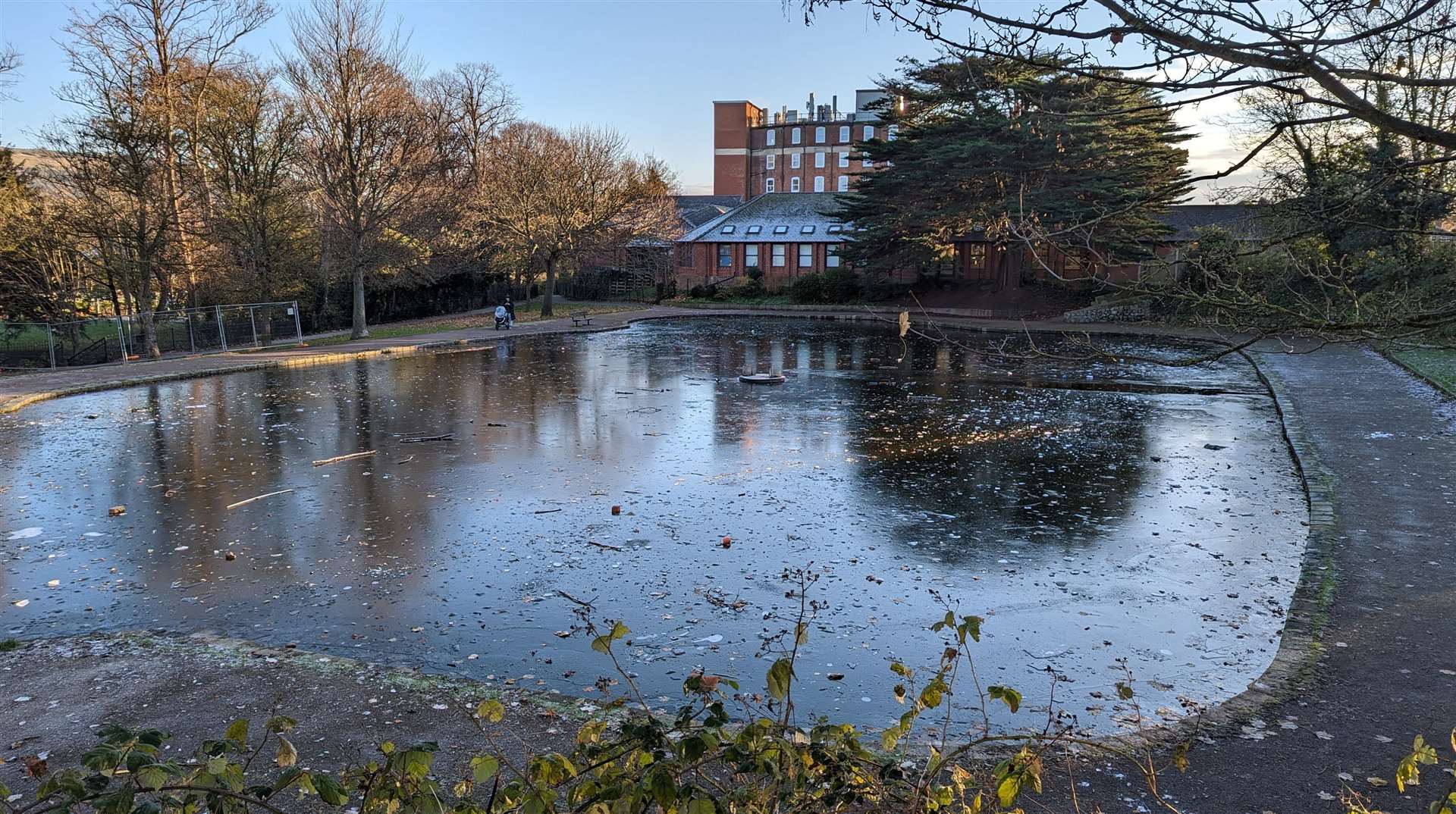 Ponds have frozen over in the sub-zero conditions