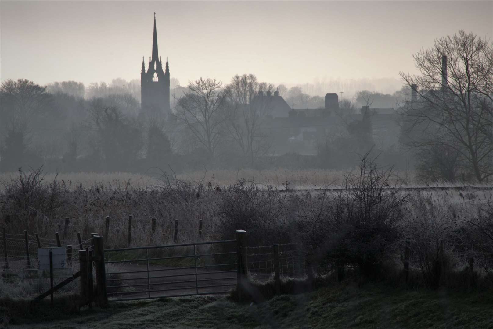 A cold and misty Sunday morning on the road to Oare Creek, looking towards Faversham. Pic: Graham Lennox