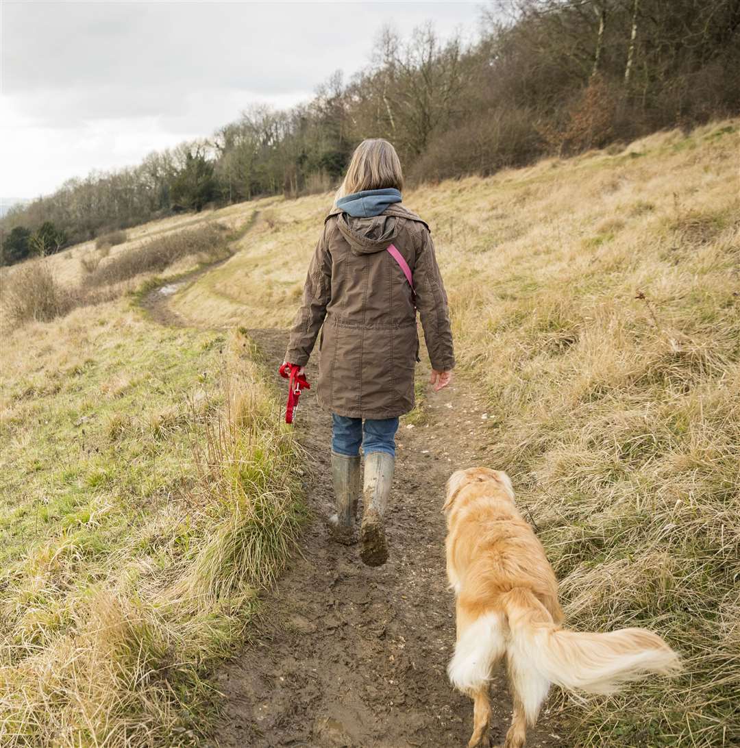 Head out for a walk Picture: National Trust