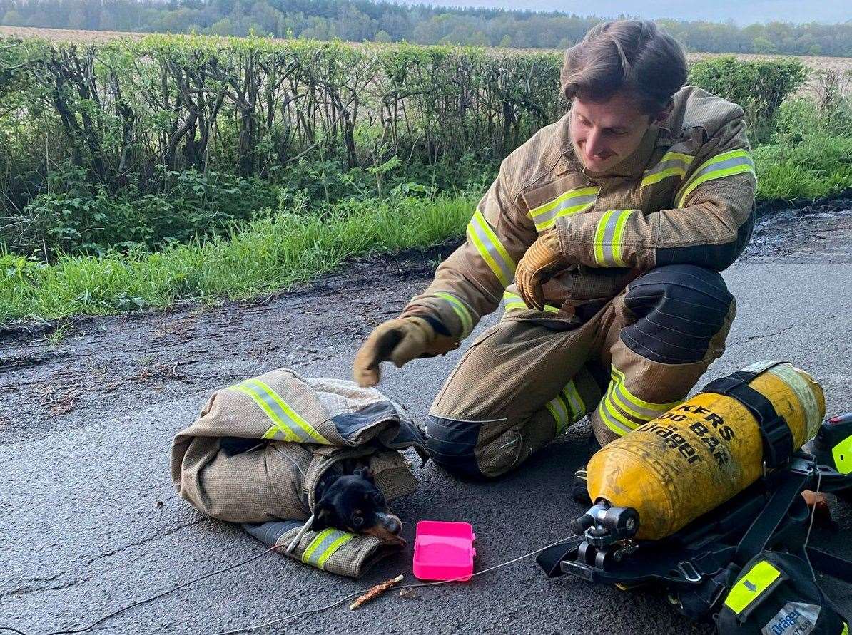 A dachshund-cross was rescued by fire crews after getting stuck in a barbed wire fence. Pictures: Kent Fire and Rescue Service