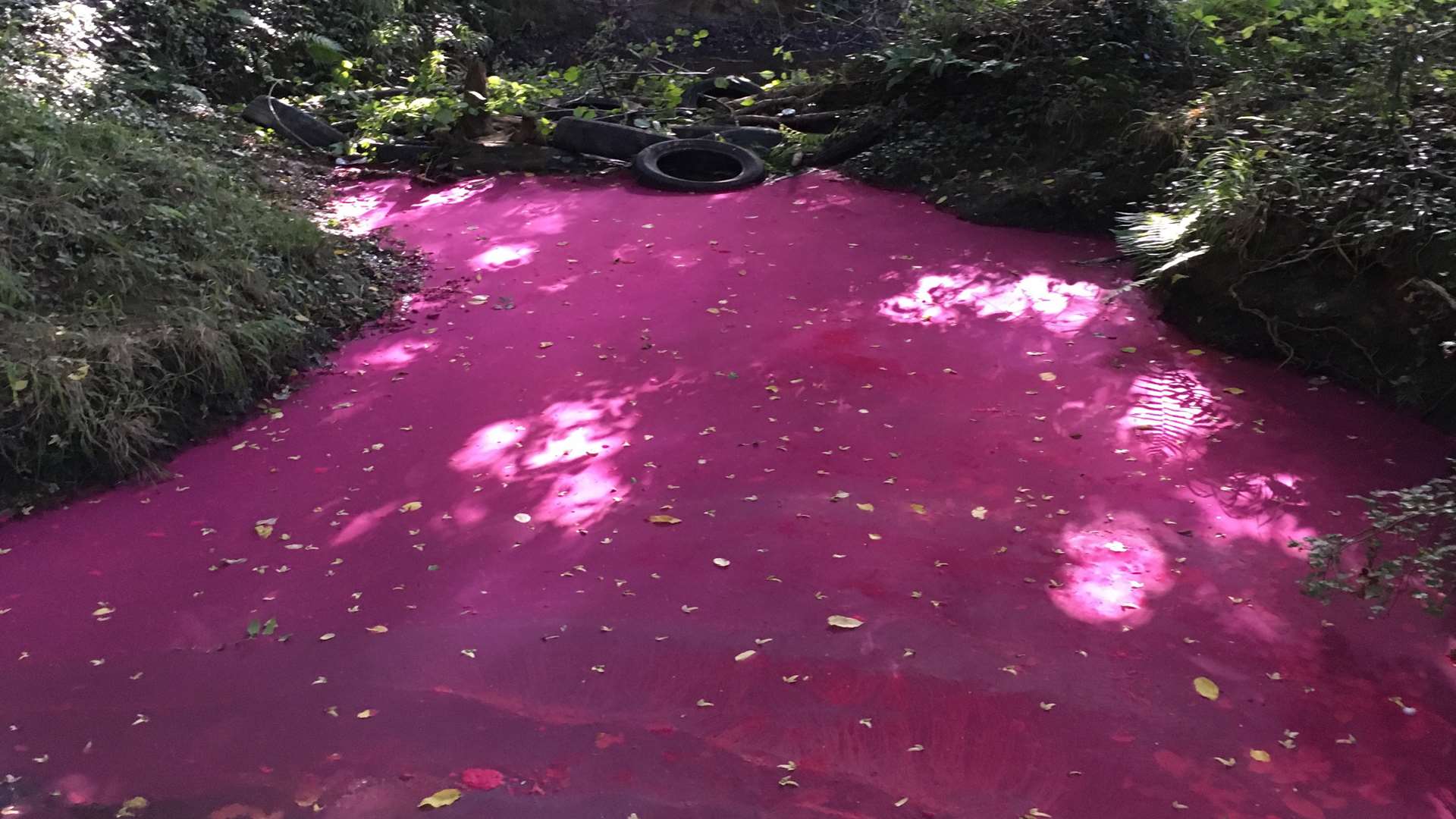 The river turned bright pink