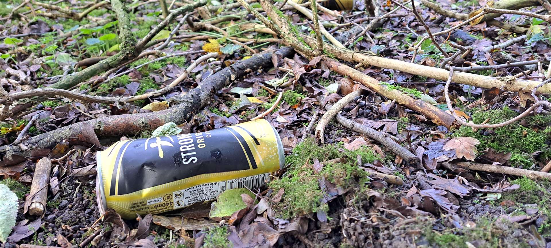 Alcohol cans at Borden Nature Reserve. Picture: Megan Carr