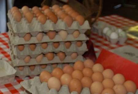 Egg producers fear the current high demand for organic and free-range products may not last