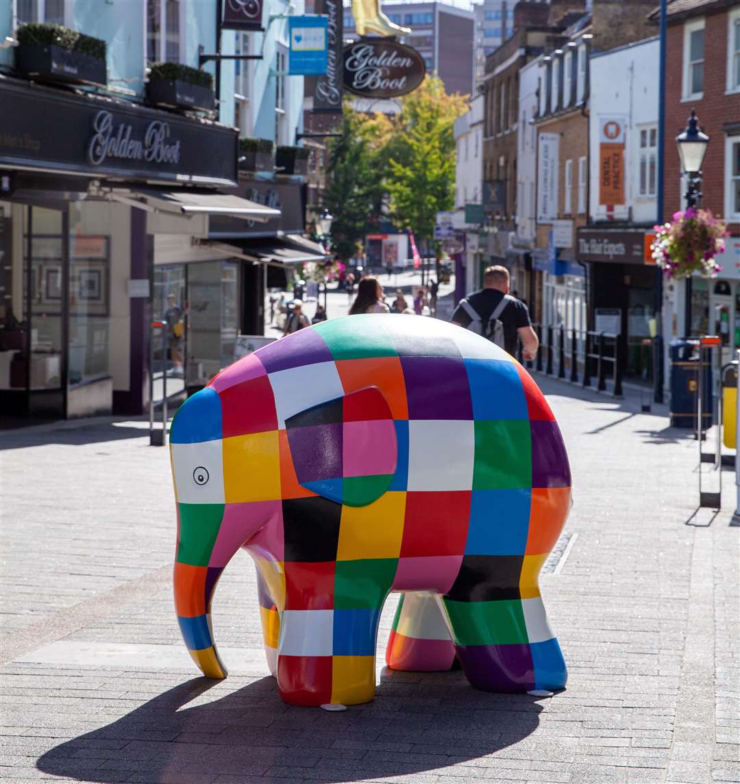 Elmer the elephant Picture: Heart of Kent Hospice