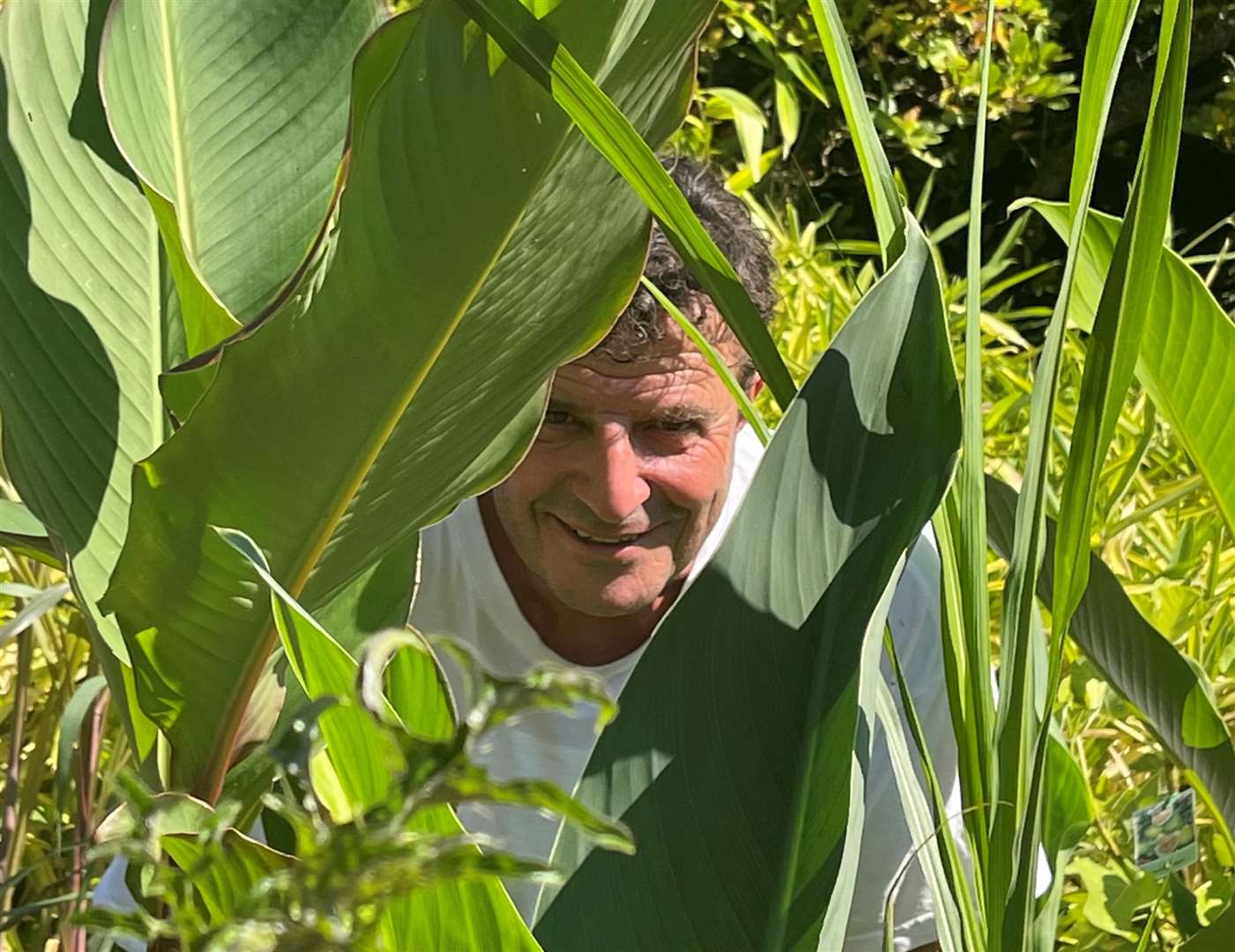Graham Blunt of Plantbase with his tropical and desert plants. Picture: Vikki Rimmer