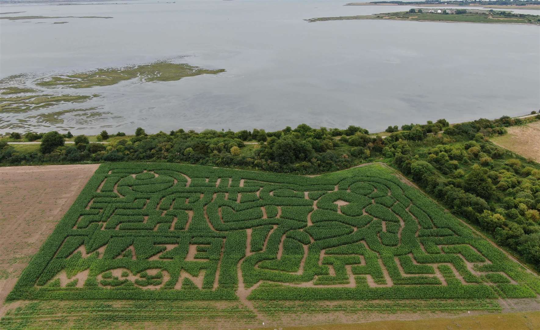 The maze will have a Super Woof theme this year – previous years’ themes included space and astronauts. Picture: Maze Moon