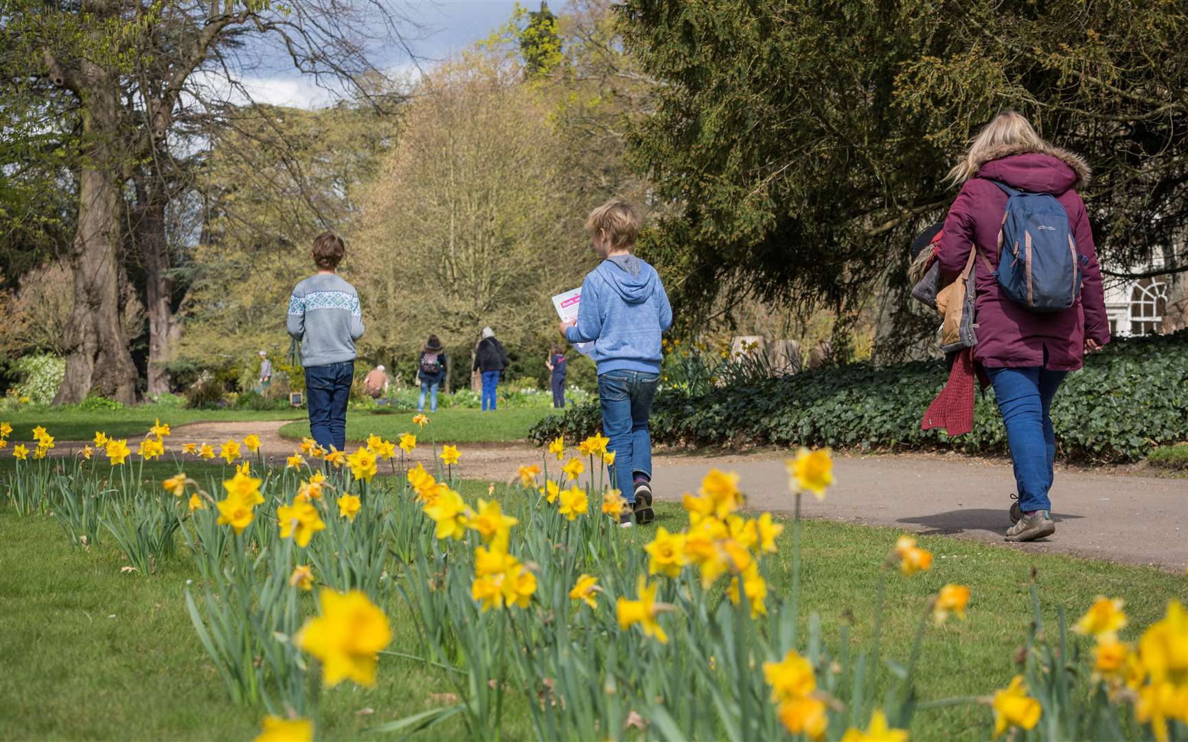 The National Trust gardens are filled with spring flowers such as daffodils and tulips at this time of year. Picture: James Dobson