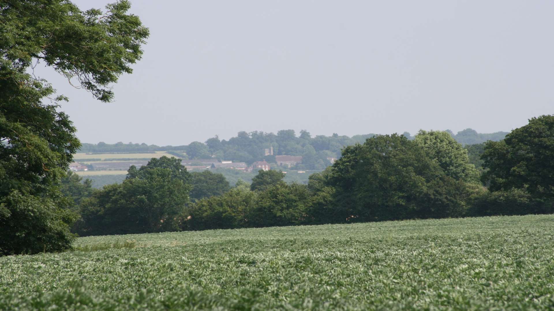 Part of the Low Weald could be turned over to a solar farm