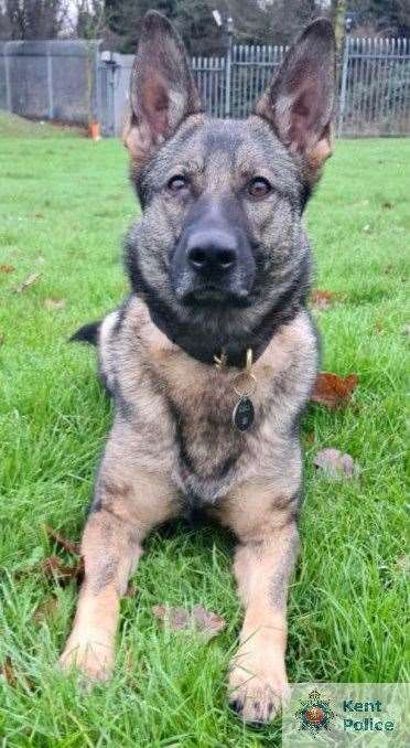 PD Coty tracked down the fleeing man on a riverbank near Malcolm Sargent Road, Ashford. Picture: Kent Police
