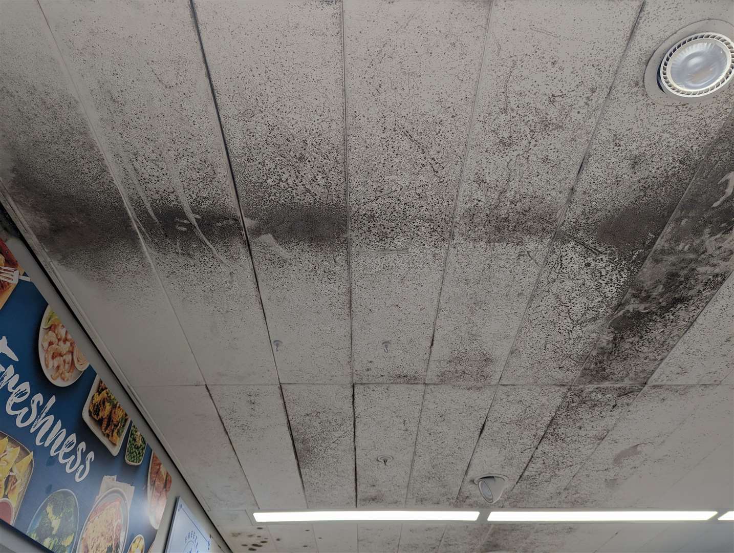 Mould has been pictured growing in Dover’s Morrisons store