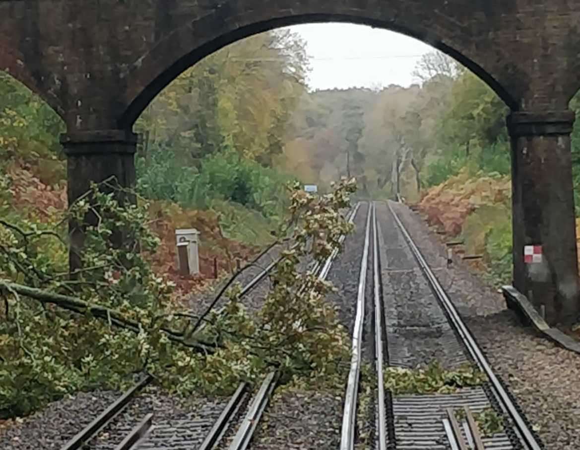 A fallen tree is blocking the line near Battle. Picture: Network Rail