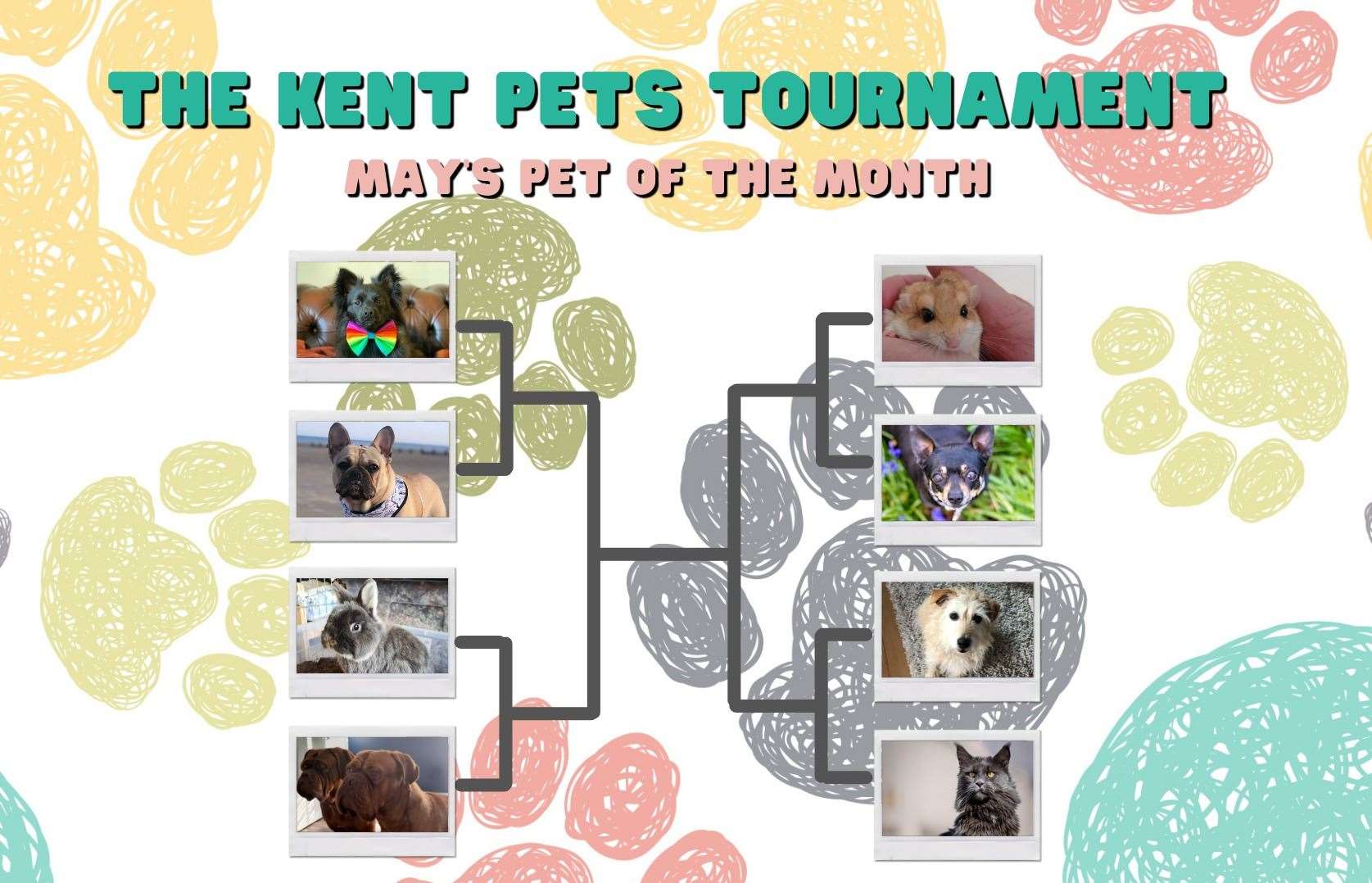 Kent Pets Tournament