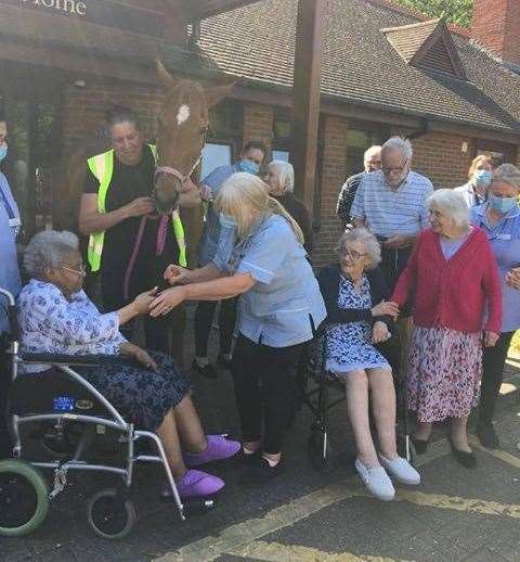 Bee was a popular visitor at Victory Care Home