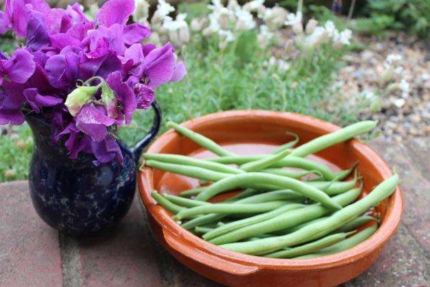 Days of sweet peas and French beans