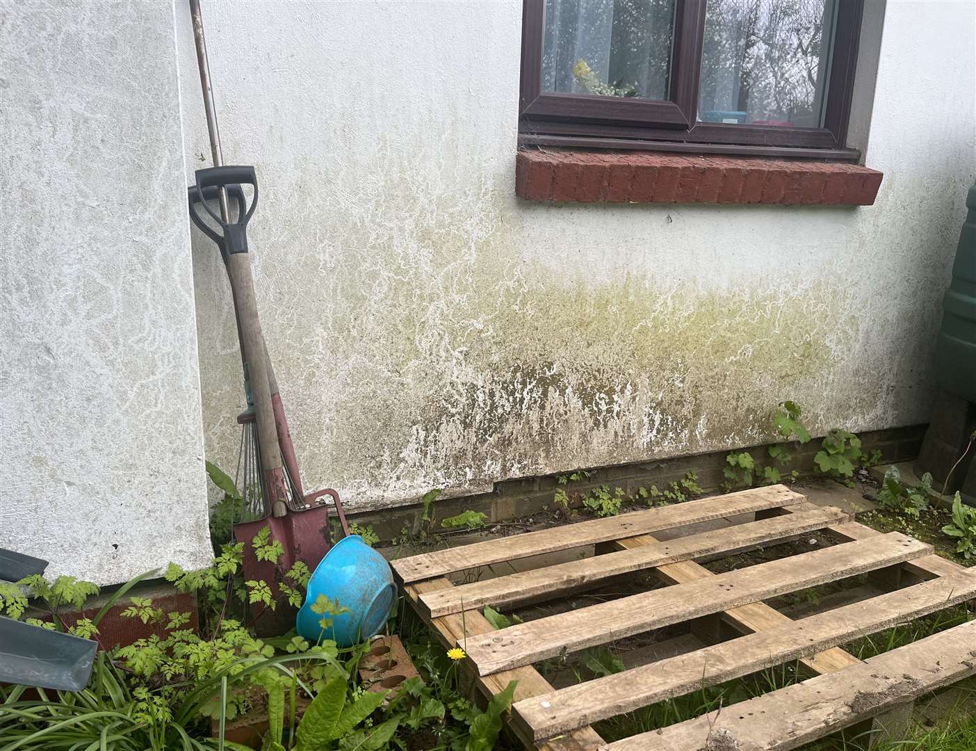 An issue with the gutters was also identified as one of the problems causing damp in Barbara Hasiuk's flat