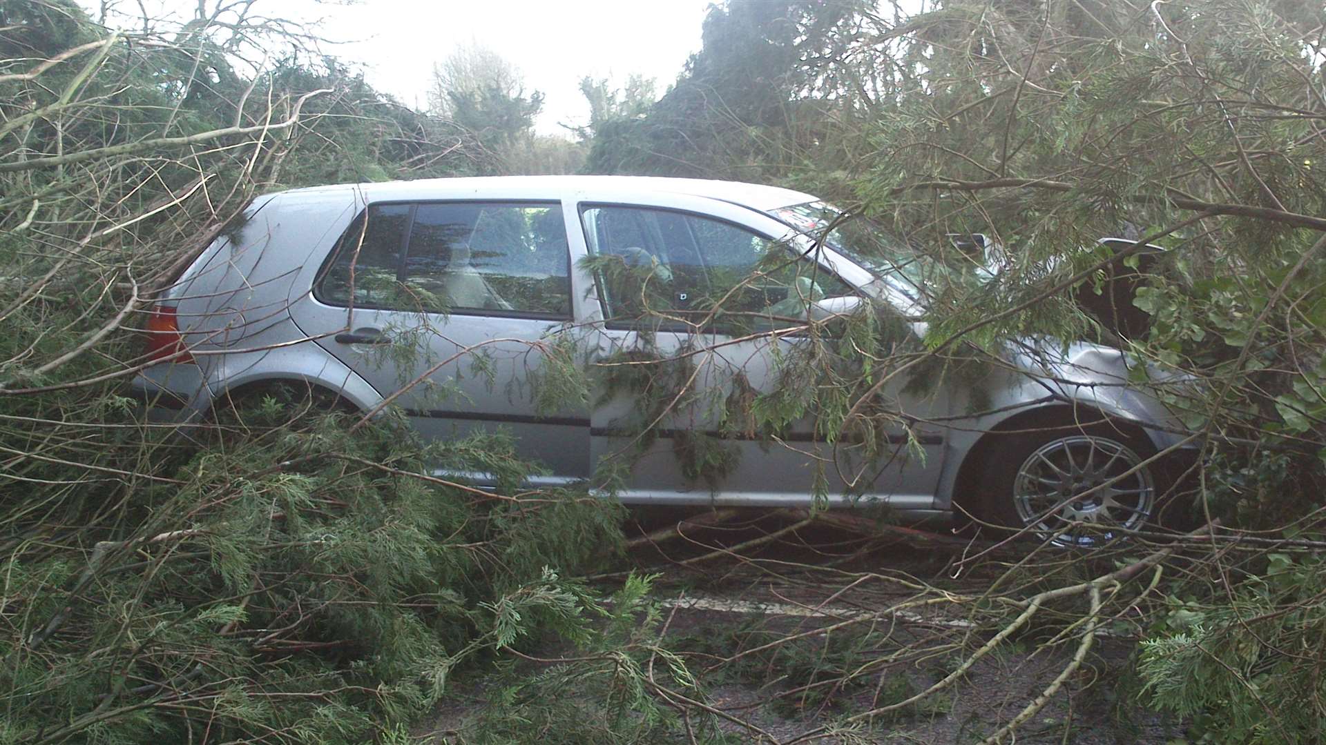 Driver Robert Harden's car was hit by two falling trees
