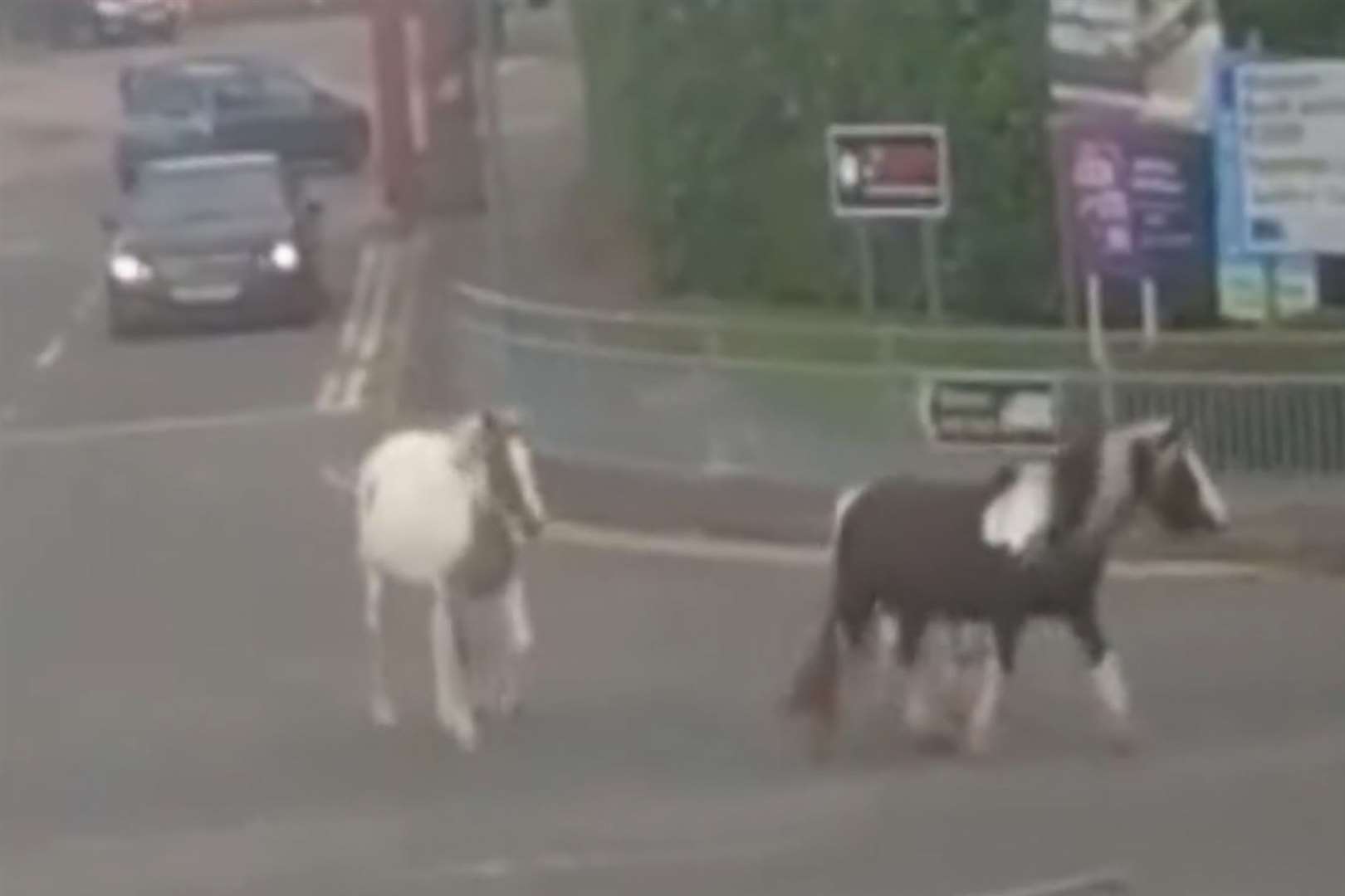 The horses leave the Beaver Business Park