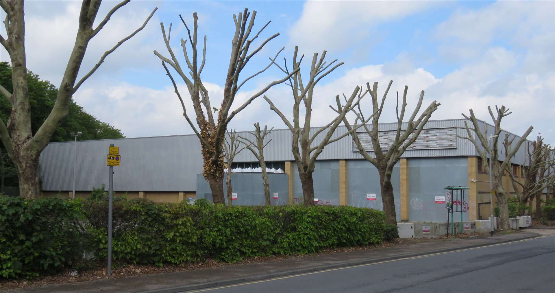 The trees have recently been drastically cut back by the council