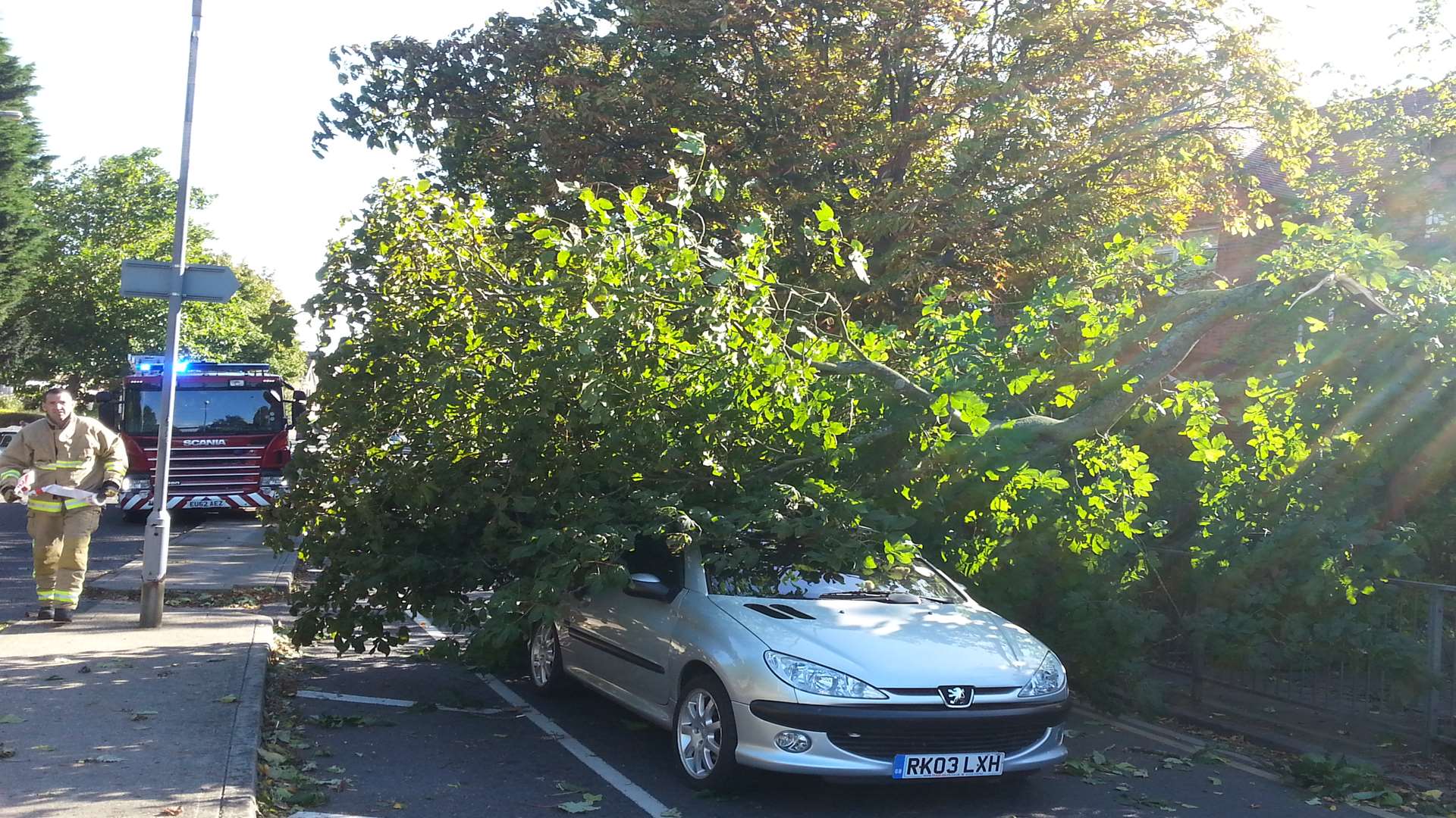Emergency crews were called to Shorncliffe Road, Folkestone, after this tree fell onto a car