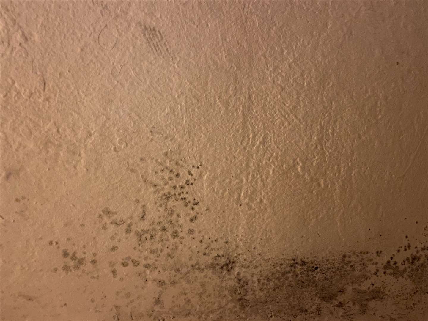 Damp on a wall at Ashford Central Guest House. Picture: Jade Connor