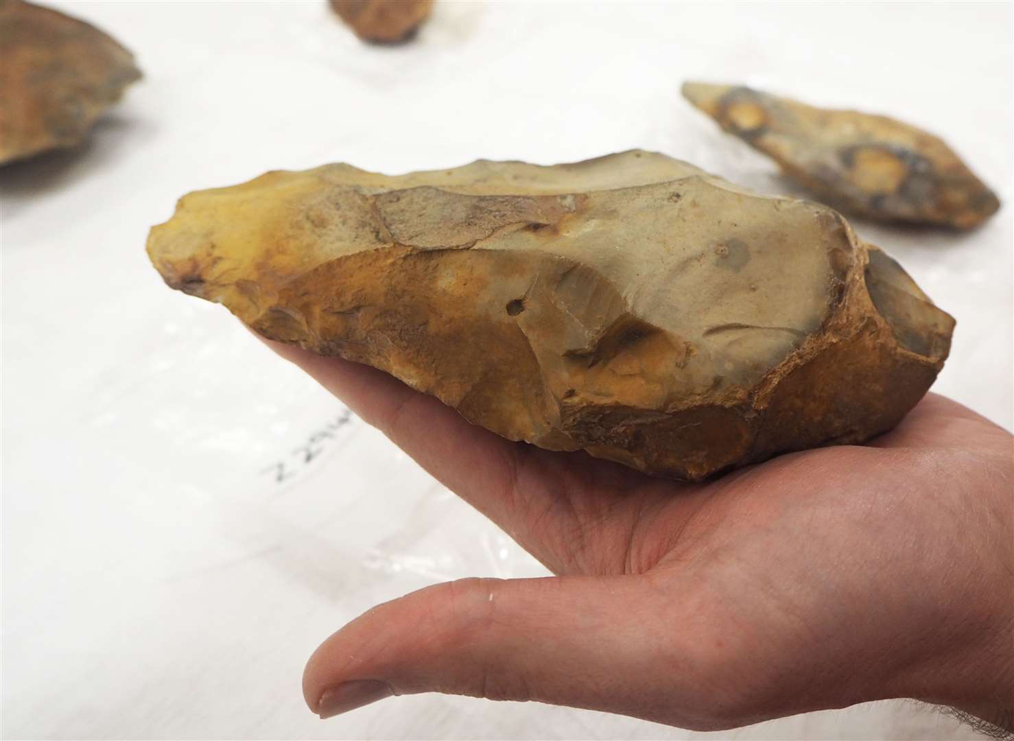A handaxe artefact dug up in Fordwich in the 1920s. Picture: Museum of Archaeology and Anthropology, Cambridge