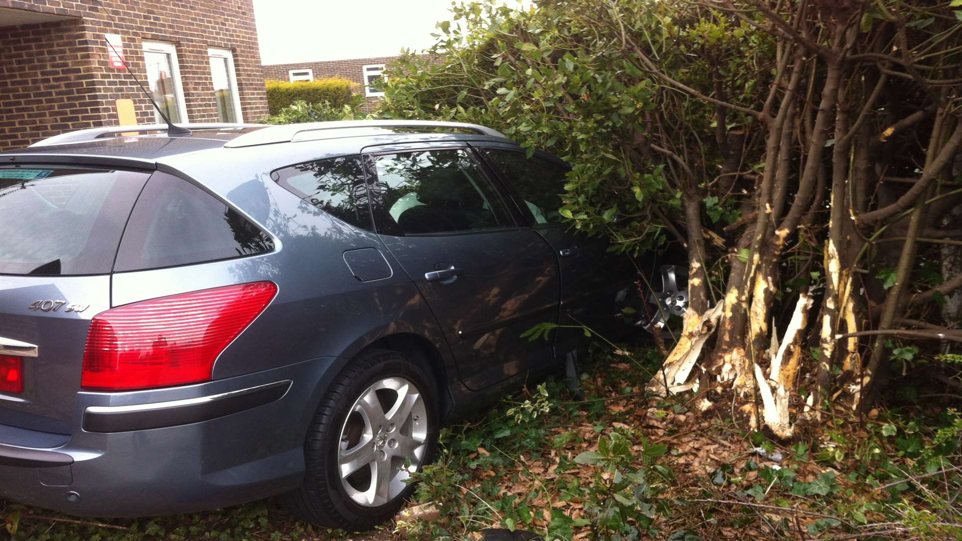 A Peugeot 407 landed in a hedge outside Whitstable fire station