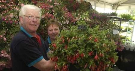 Doug and Gwyneth Jones with their fuscia named after actress Patricia Hodge. Picture: BARRY CRAYFORD