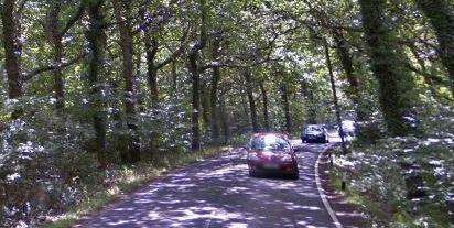 Fire crews freed a woman in Radfall Road, Chestfield. Picture: Google