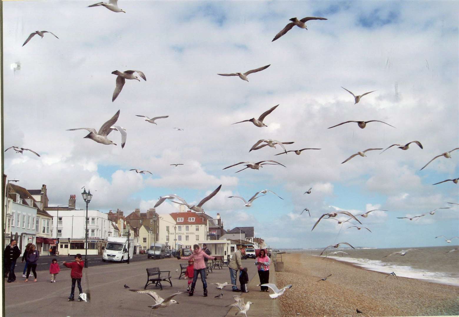 Seagulls on the seafront. Picture: Tony Friend
