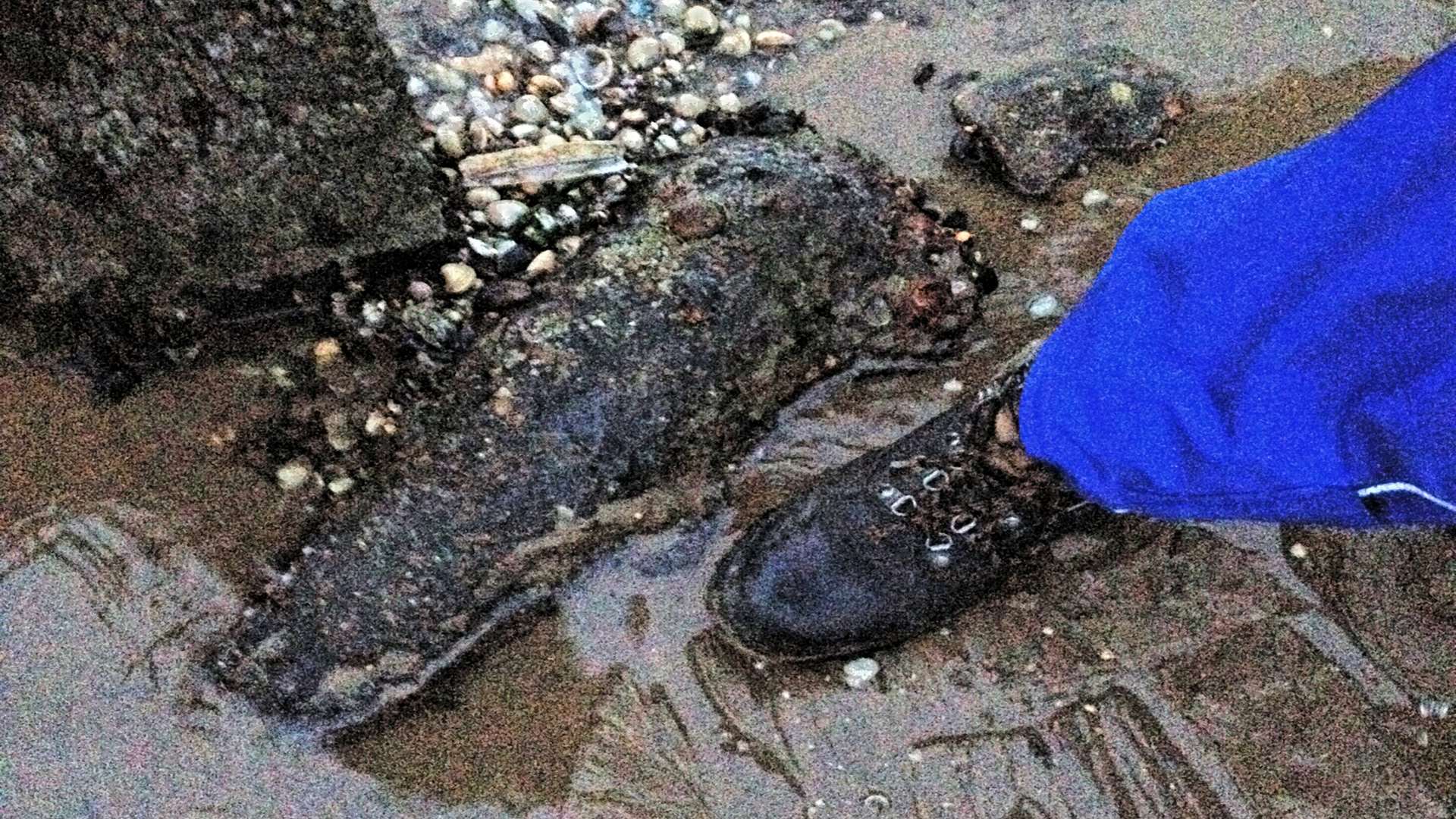 The explosive found on Shellness Beach