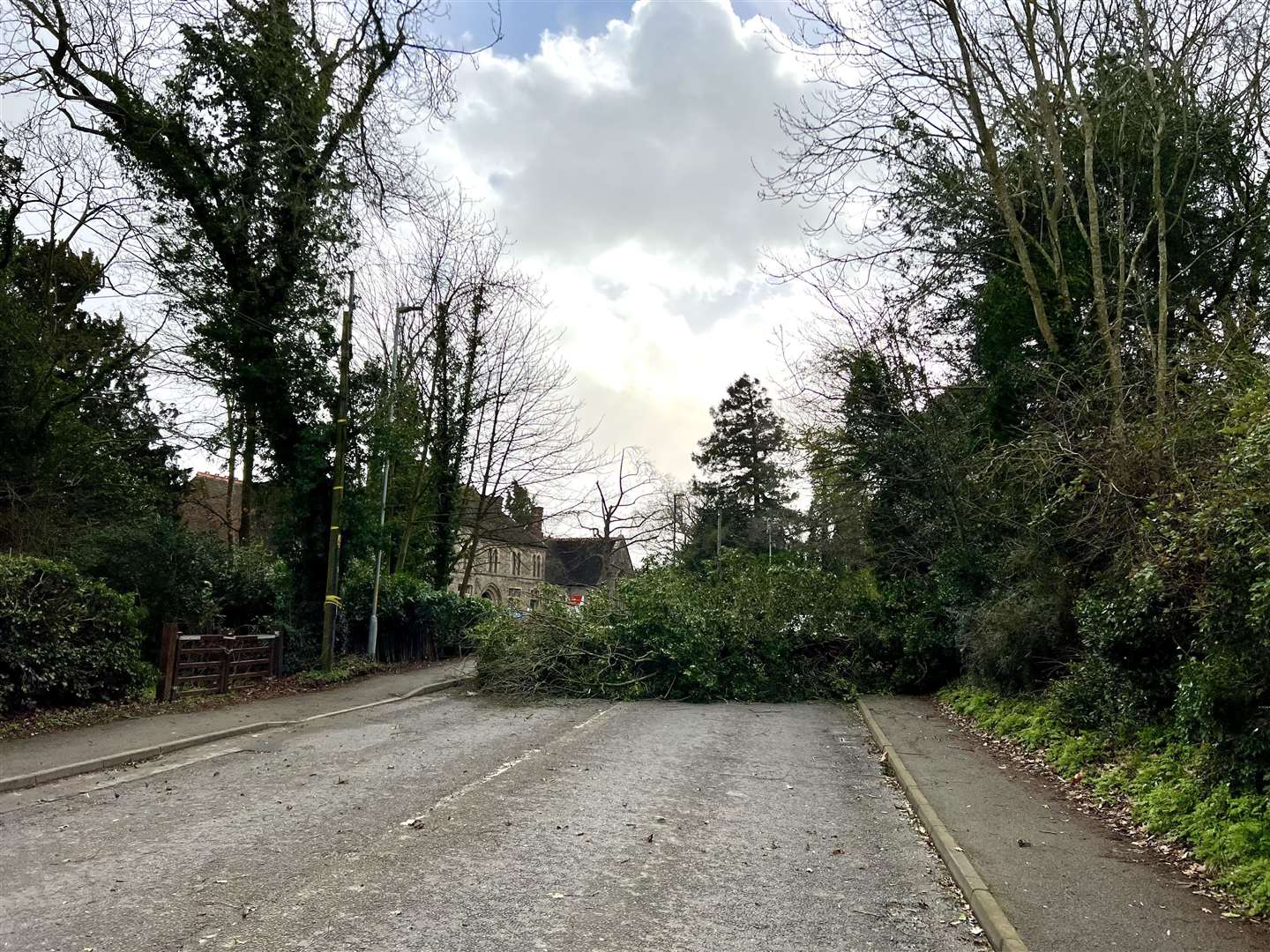 Storm Eunice brought down trees across the county