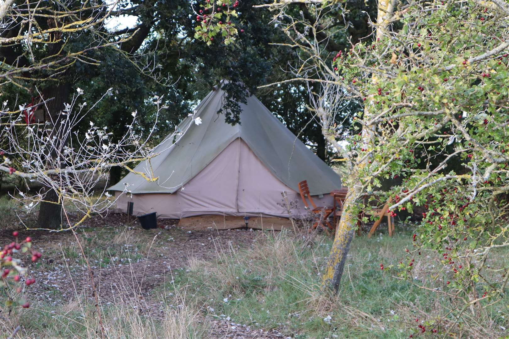 A glamping tent hidden in the trees at Elmley Nature Reserve