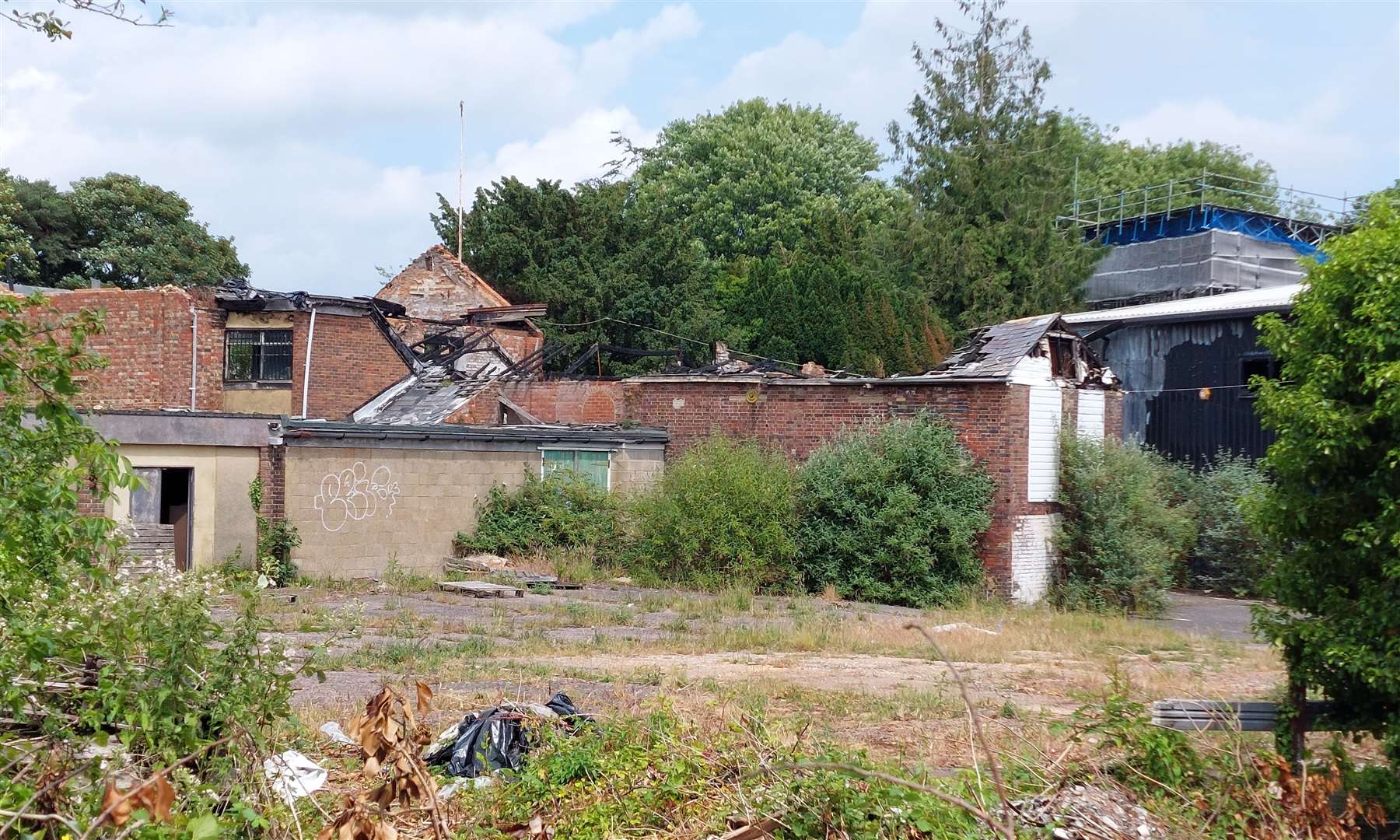 The abandoned buildings in Tannery Lane have been a magnet for anti-social behaviour