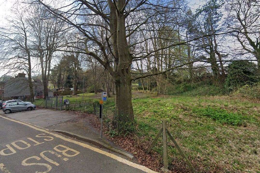 The “over-mature” trees have now been felled. Picture: Google