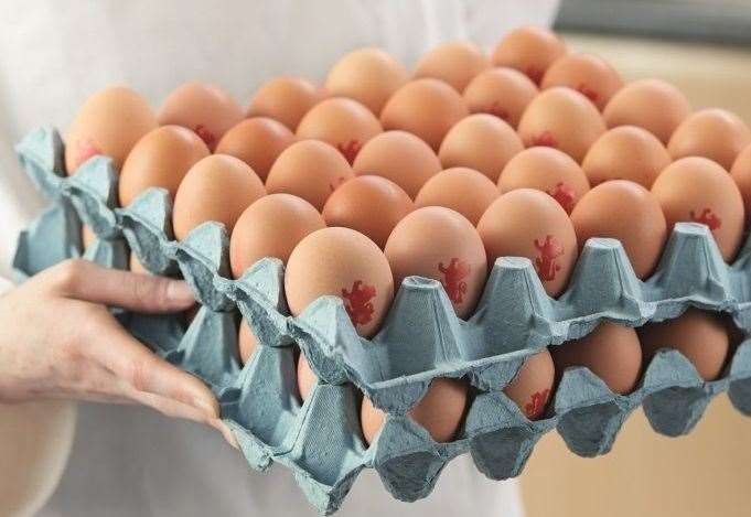 Eggs laid by Fridays chickens