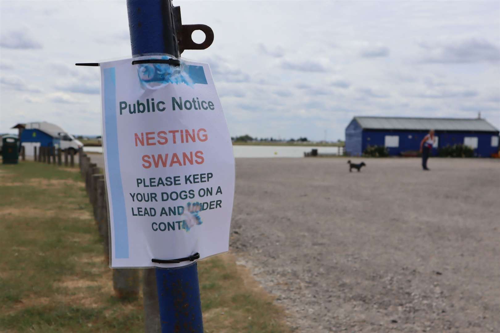 Nesting Swans warning sign at Barton's Point Coastal Park, Sheerness
