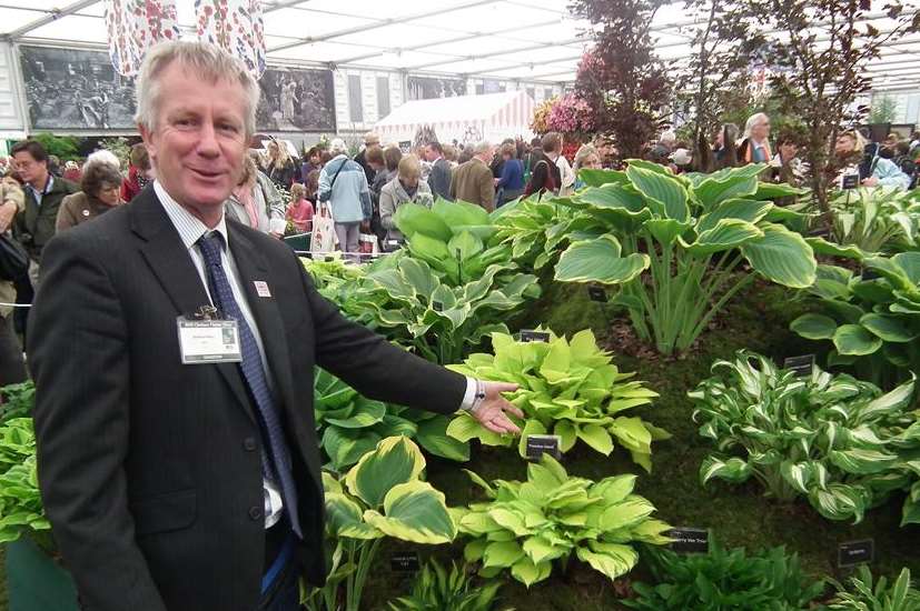 Paul Harris of Brookfield Plants - another Kent gold medal winner at Chelsea this year